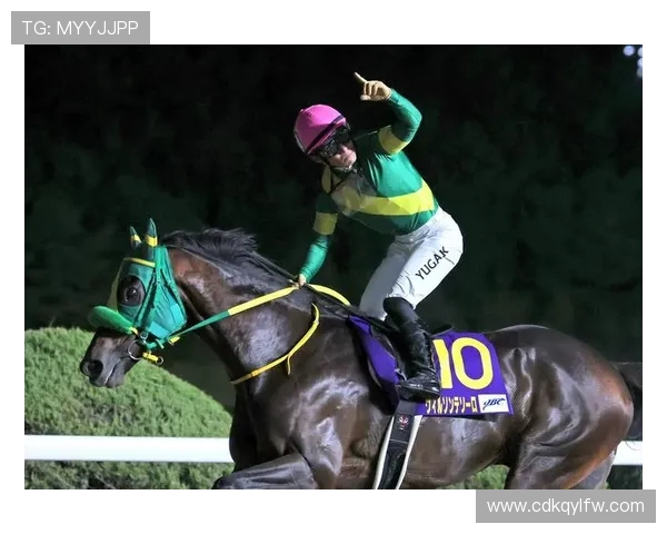 盈宝威神登顶南部杯,幸运银币泥地初战摘亚 盈宝威神登顶南部杯,幸运银币泥地初战摘亚